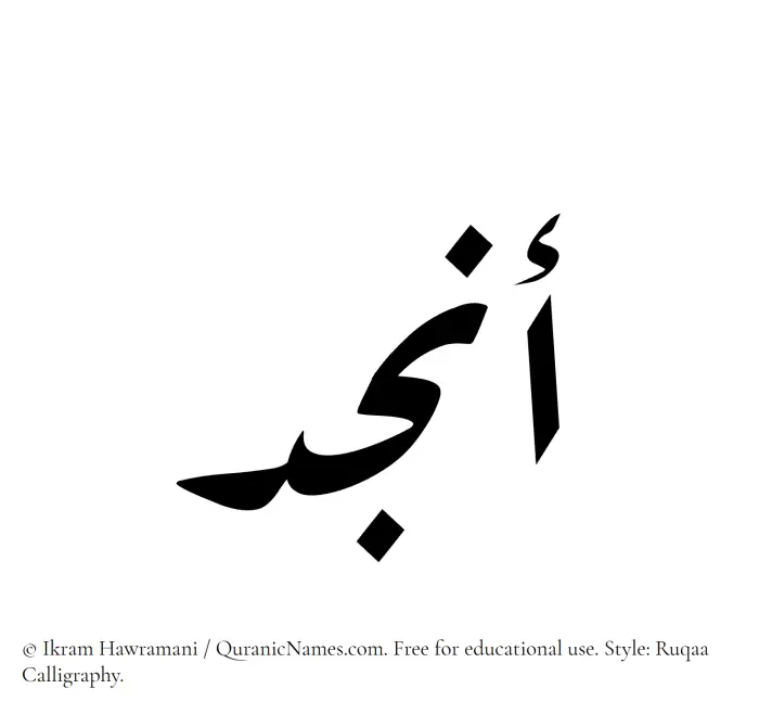 The Muslim name Anjud written in Ruqaa calligraphic script
