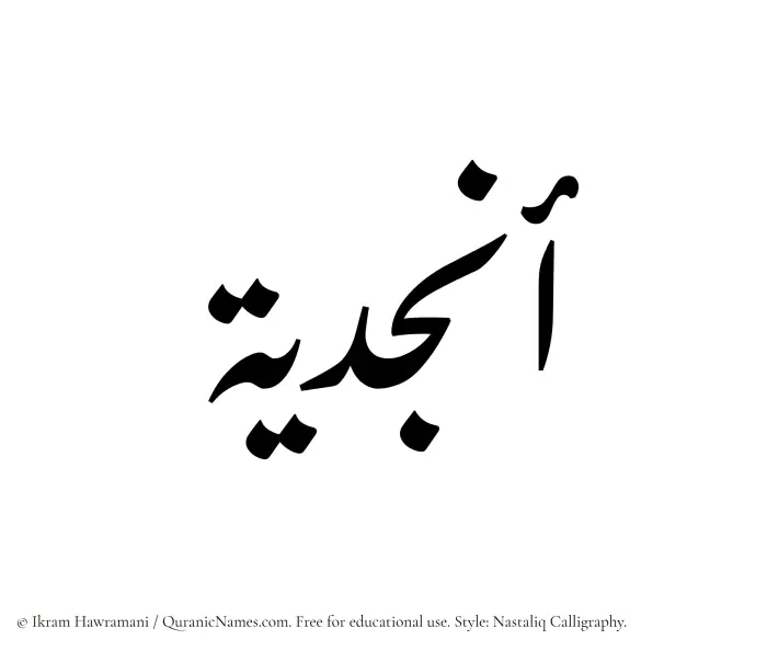 The Muslim name word Anjudiya written in Nastaliq calligraphic script