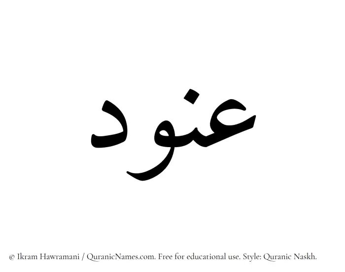 The Muslim name Anoud written in Quranic naskh script
