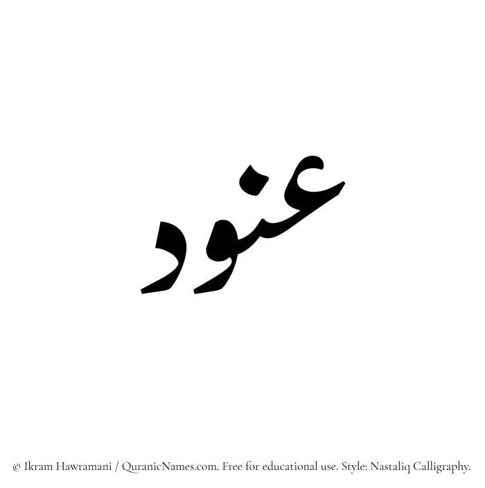 The Muslim name word Anoud written in Nastaliq calligraphic script