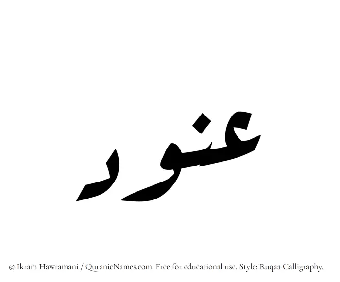 The Muslim name Anoud written in Ruqaa calligraphic script