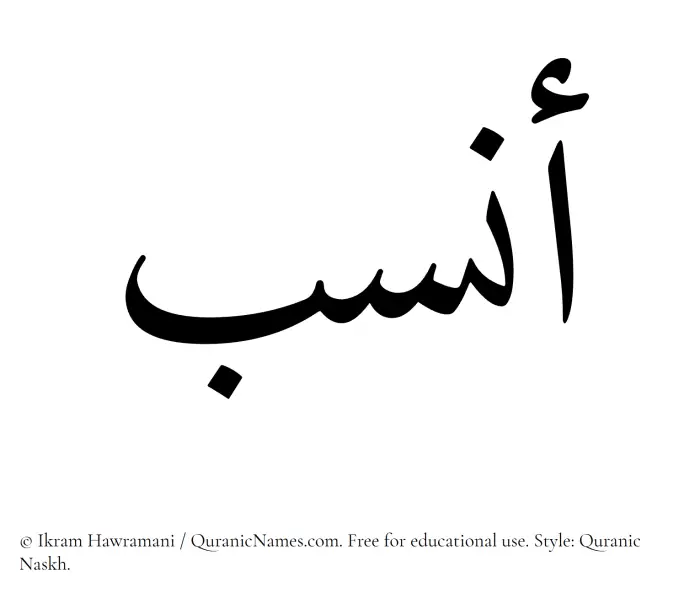 The Muslim name Ansab written in Quranic naskh script