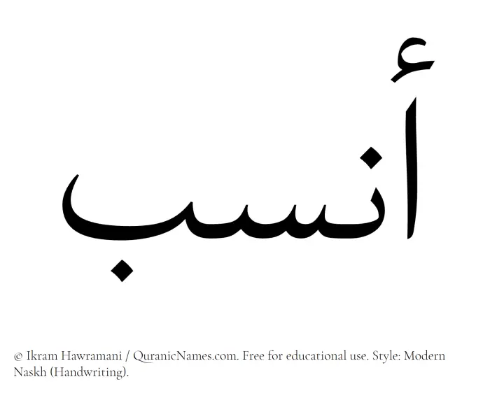 The Muslim name Ansab written in naskh script