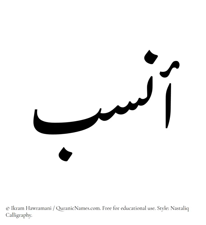 The Muslim name word Ansab written in Nastaliq calligraphic script
