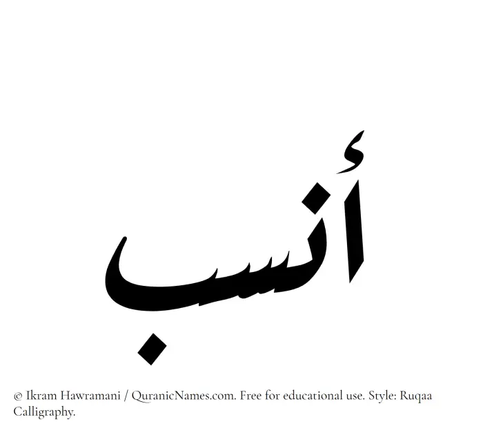 The Muslim name Ansab written in Ruqaa calligraphic script