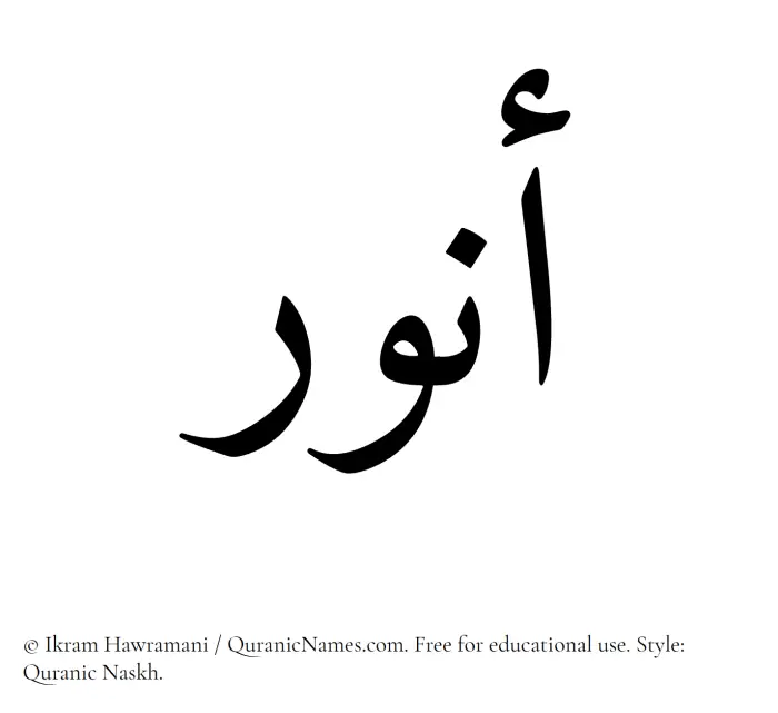 The Muslim name Anwar written in Quranic naskh script