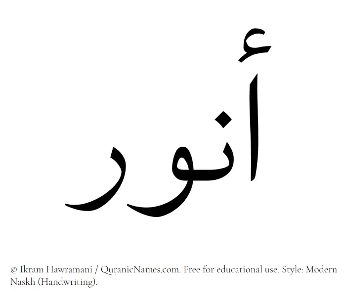 The Muslim name Anwar written in naskh script