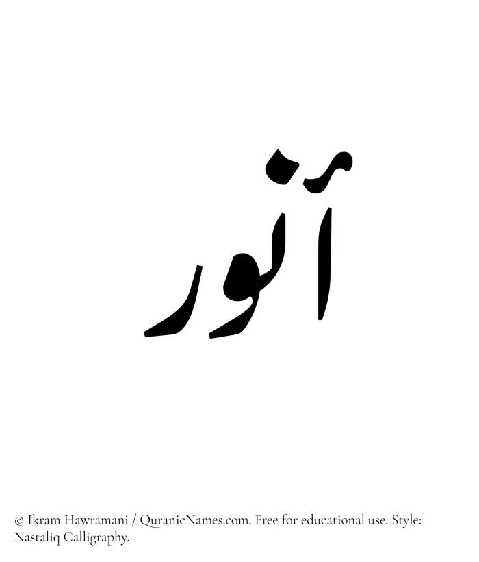 The Muslim name word Anwar written in Nastaliq calligraphic script