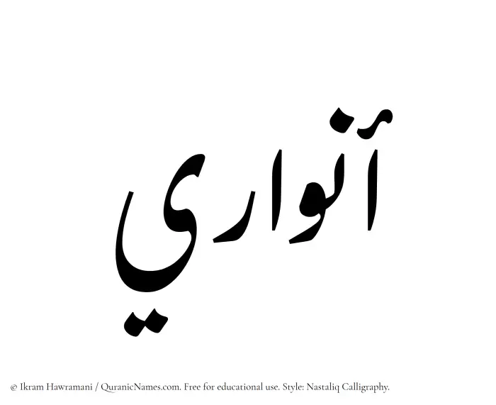 The Muslim name word Anwari written in Nastaliq calligraphic script