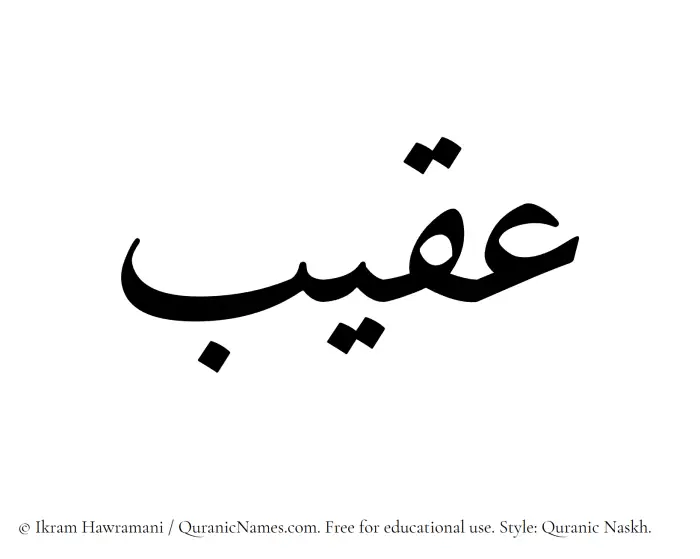 The Muslim name Aqeeb written in Quranic naskh script