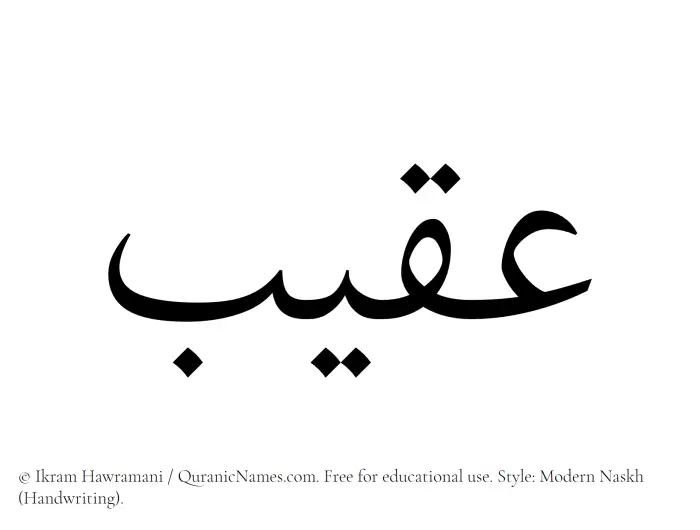 The Muslim name Aqeeb written in naskh script