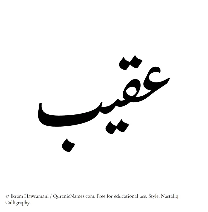 The Muslim name word Aqeeb written in Nastaliq calligraphic script