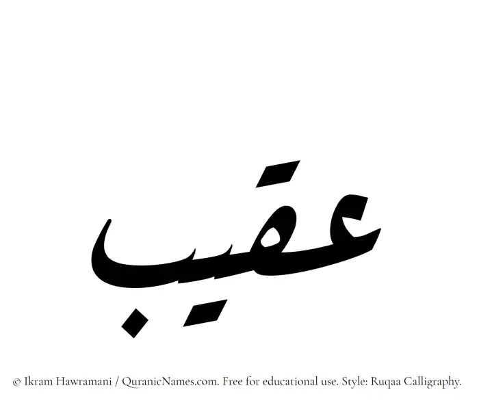 The Muslim name Aqeeb written in Ruqaa calligraphic script