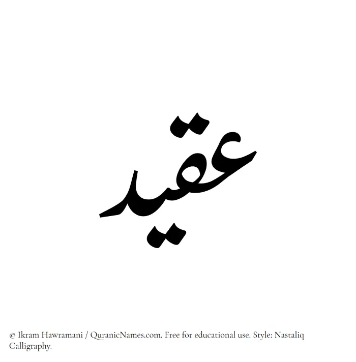 The Muslim name word Aqeed written in Nastaliq calligraphic script