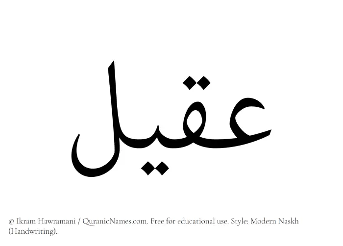 The Muslim name Aqeel written in naskh script