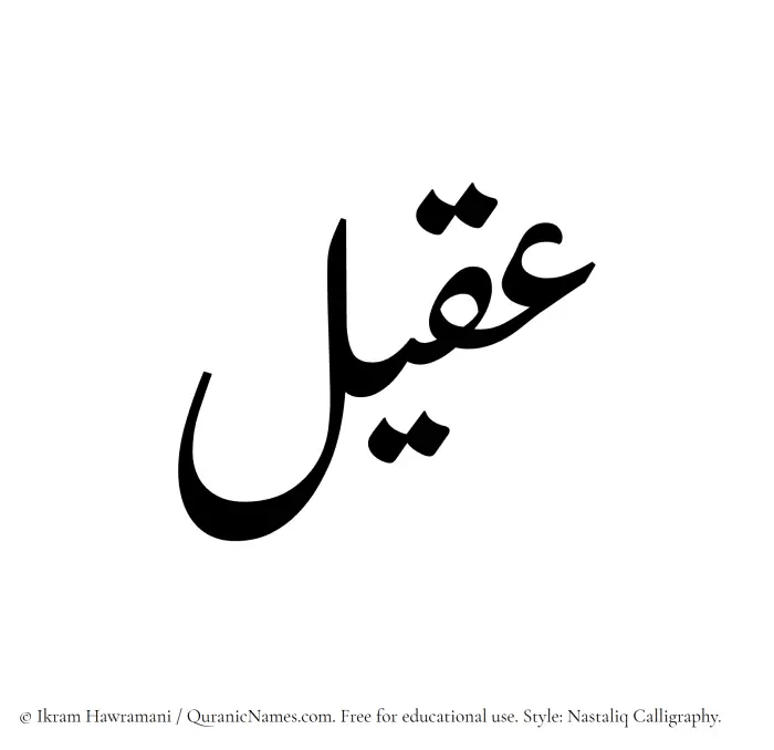 The Muslim name word Aqeel written in Nastaliq calligraphic script