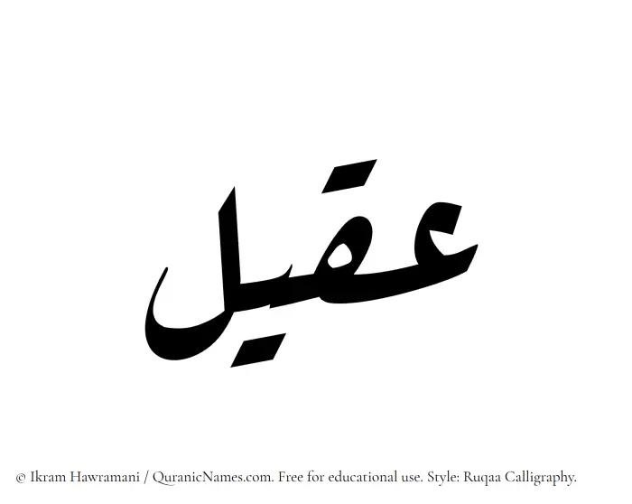 The Muslim name Aqeel written in Ruqaa calligraphic script