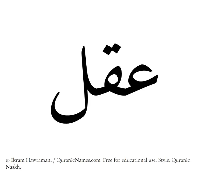The Muslim name Aql written in Quranic naskh script