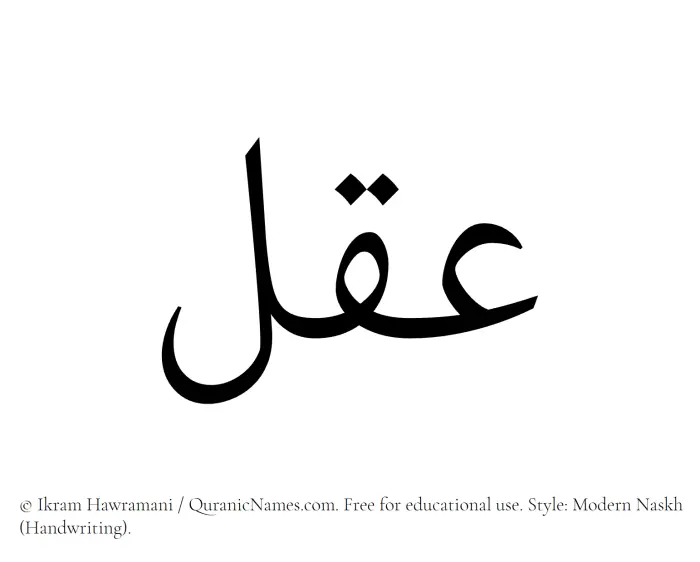 The Muslim name Aql written in naskh script