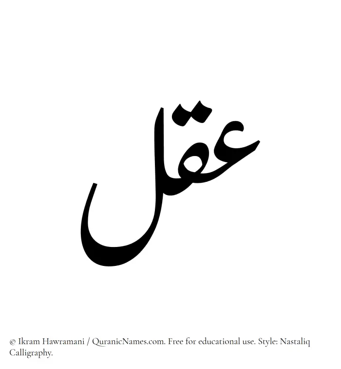 The Muslim name word Aql written in Nastaliq calligraphic script