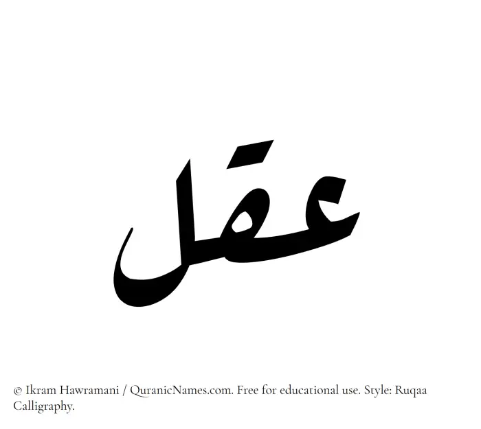 The Muslim name Aql written in Ruqaa calligraphic script