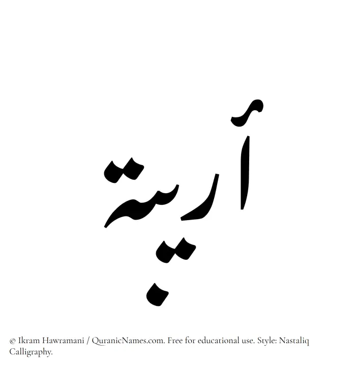 The Muslim name word Areebah written in Nastaliq calligraphic script