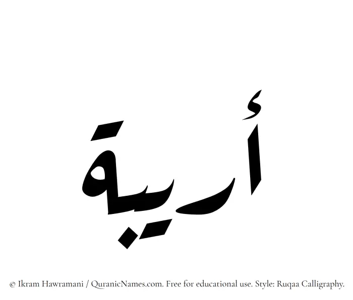 The Muslim name Areebah written in Ruqaa calligraphic script