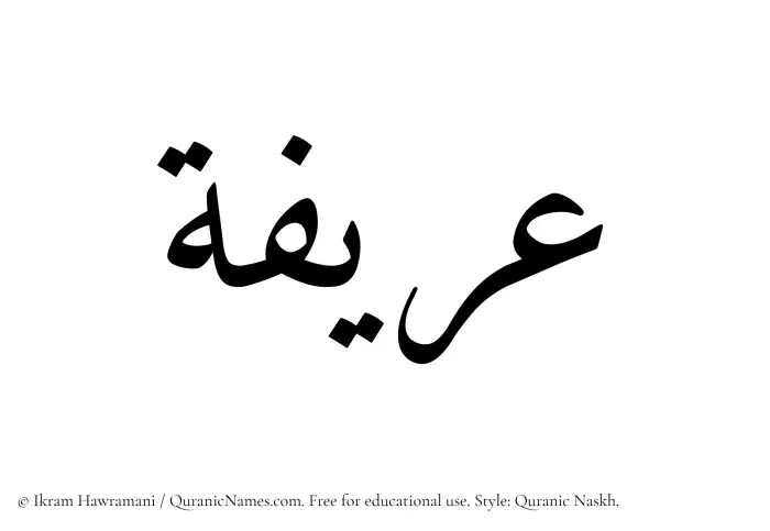The Muslim name Areefa written in Quranic naskh script