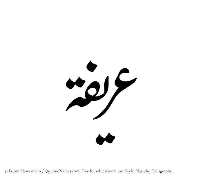 The Muslim name word Areefa written in Nastaliq calligraphic script
