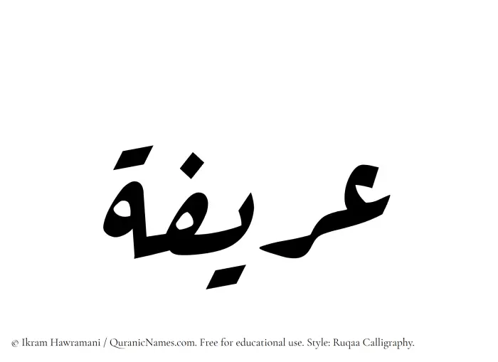 The Muslim name Areefa written in Ruqaa calligraphic script