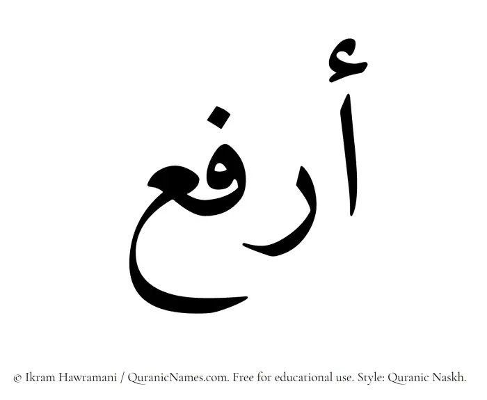 The Muslim name Arfa written in Quranic naskh script