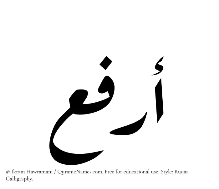 The Muslim name Arfa written in Ruqaa calligraphic script