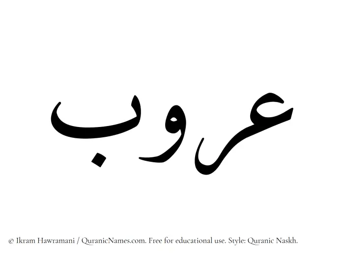 The Muslim name Aroob written in Quranic naskh script