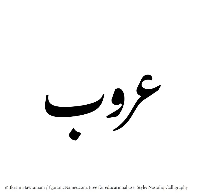 The Muslim name word Aroob written in Nastaliq calligraphic script