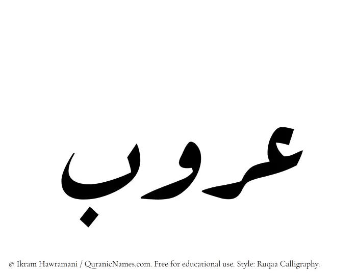 The Muslim name Aroob written in Ruqaa calligraphic script