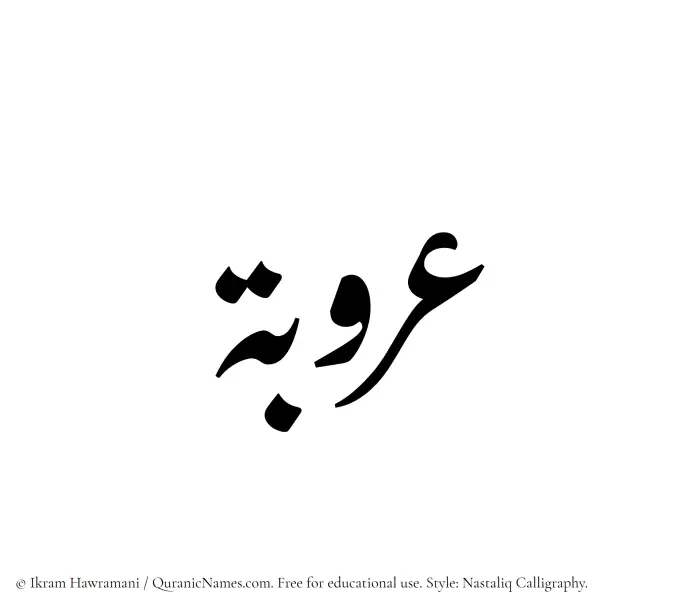 The Muslim name word Arooba written in Nastaliq calligraphic script