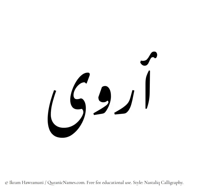 The Muslim name word Arwaa written in Nastaliq calligraphic script