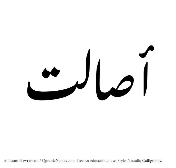 The Muslim name word Asaalat written in Nastaliq calligraphic script