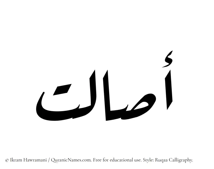 The Muslim name Asaalat written in Ruqaa calligraphic script