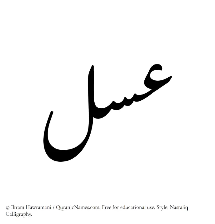 The Muslim name word Asal written in Nastaliq calligraphic script