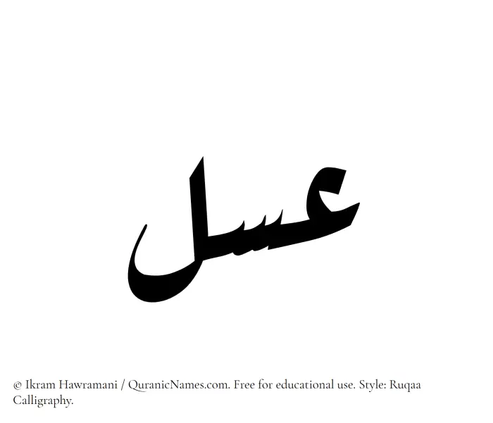The Muslim name Asal written in Ruqaa calligraphic script