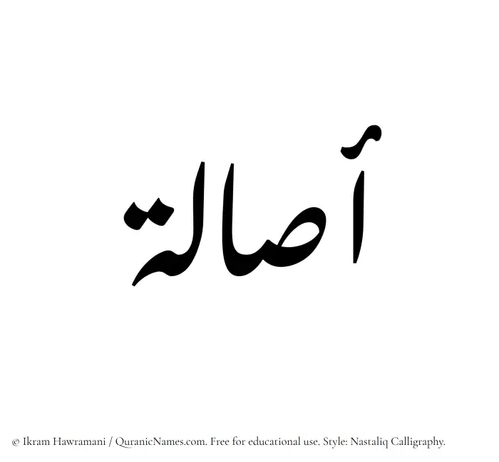 The Muslim name word Asala written in Nastaliq calligraphic script