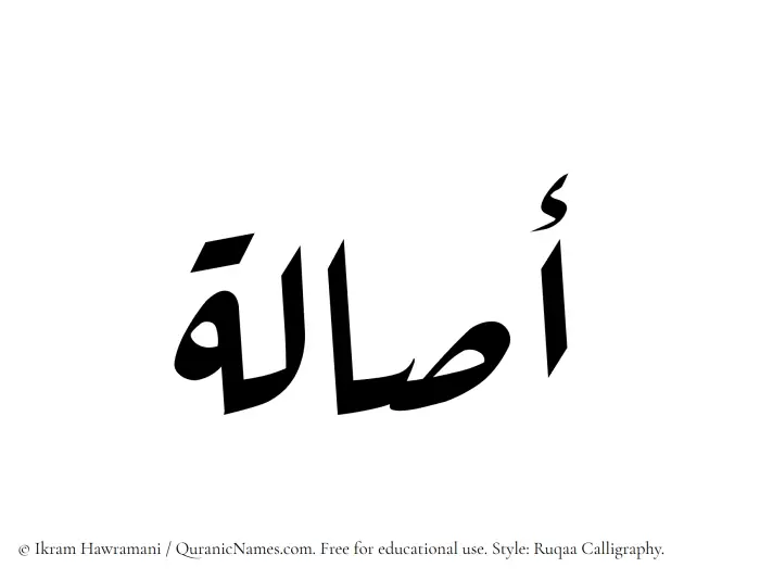 The Muslim name Asala written in Ruqaa calligraphic script