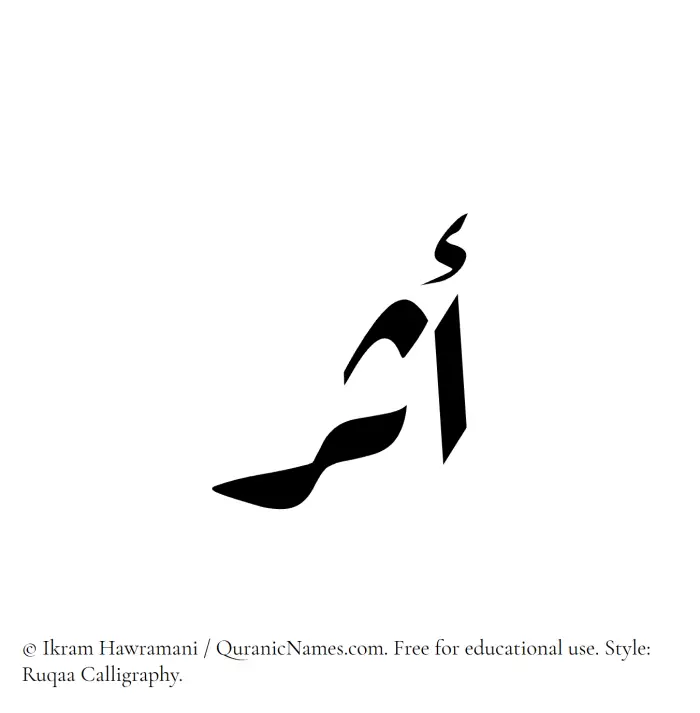 The Muslim name Asar written in Ruqaa calligraphic script