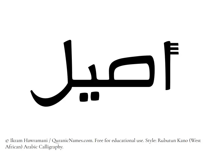 The Muslim name Aseel written in Rubutun Kano calligraphic script