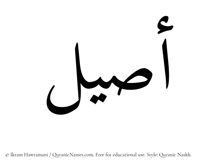 The Muslim name Aseel written in Quranic naskh script