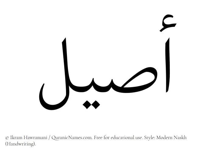 The Muslim name Aseel written in naskh script