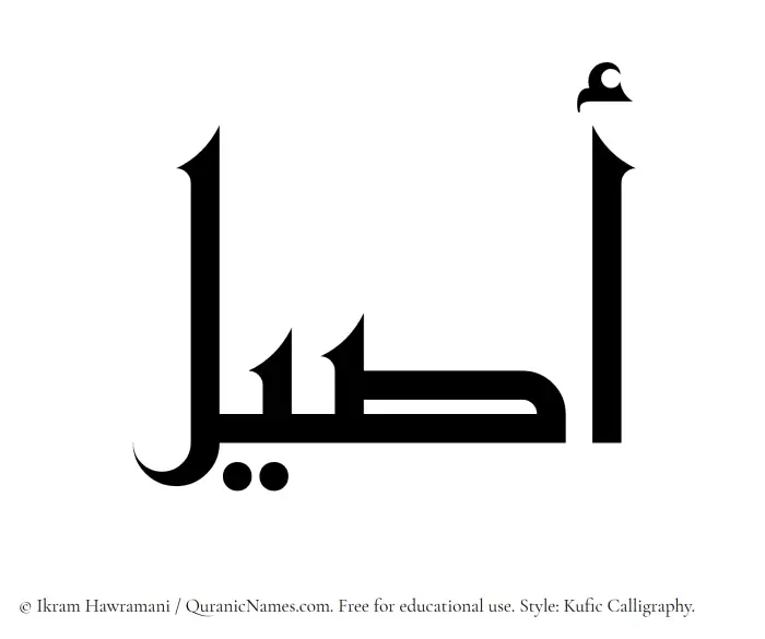 The Muslim name Aseel written in Kufi/Kufic calligraphic script