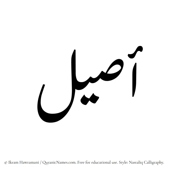 The Muslim name word Aseel written in Nastaliq calligraphic script