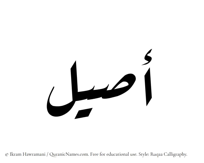 The Muslim name Aseel written in Ruqaa calligraphic script